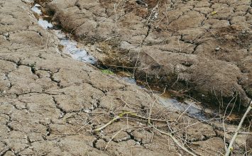 Consultation du public – Révision de l’arrêté cadre départemental sécheresse des Alpes-Maritimes