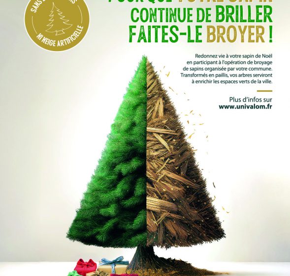 Opération broyage des sapins 2025